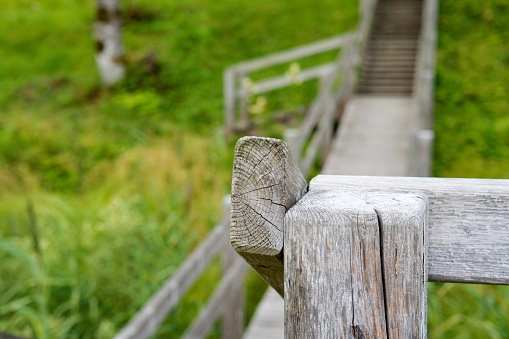 Wooden railing close-up. Tree structure. Selective focus.
