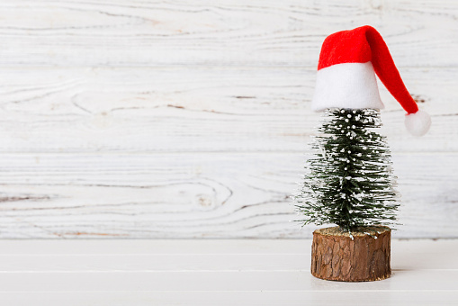One small Christmas tree with santa hat on colored background. new year decoration with copy space.