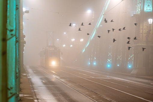 Lonely old tram driving through the beautiful foggy Liberty Bridge, birds flying across the bridge. Budapest, Hungary