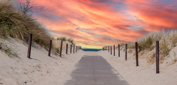 istock Beach path at sunset on the Baltic Sea in Germany 1665219842