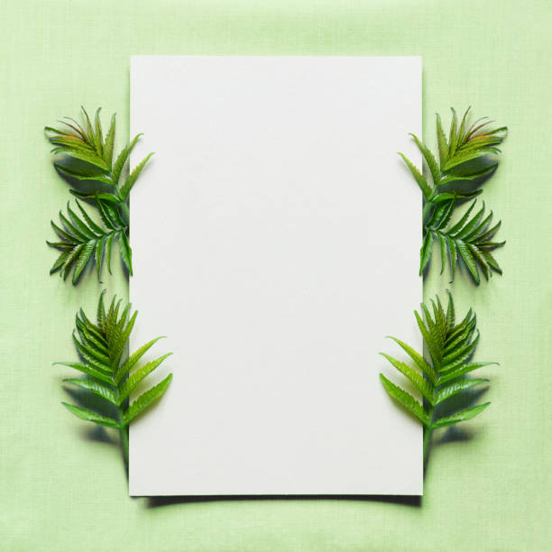 istock Happy mother's day, birthday, wedding composition. Blank greeting card, invitation and envelope mockup. Rectangular blank with fresh green leaves. Flat lay, top view. Square. 1665222156