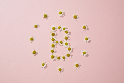On a pink background, chamomilla flowers are arranged in a B and circle shape. Creative background for advertising. Chamomile extract contains many B vitamins that are good for skin and hair