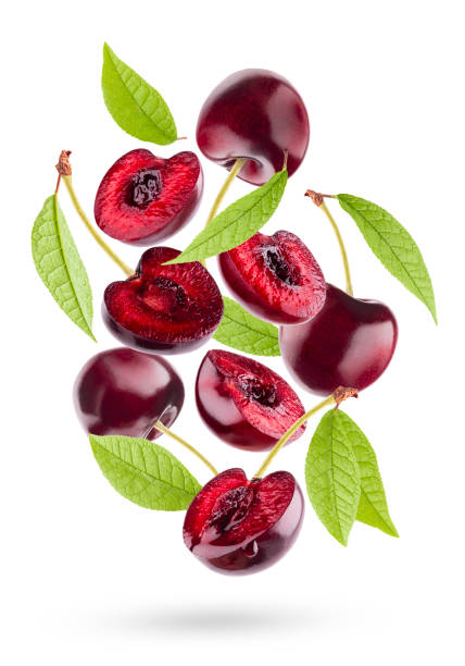 istock Bright red cherry with green leaves closeup levitation as flow, art composition. Whole, half fruits, isolated on white background, shadow. Summer ripe fruits for advertising, design, label product. 1665275060