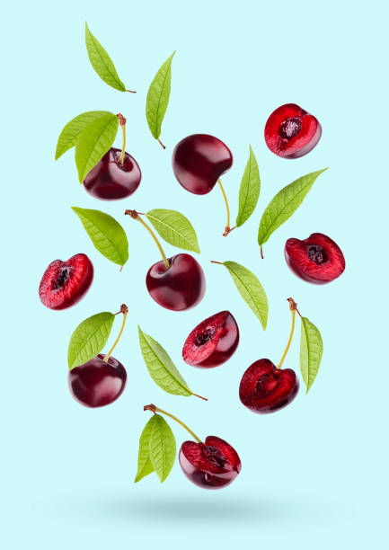istock Bright red cherry with green leaves as flow fly or fall as art composition. Whole, pieces fruits on pastel pink background with shadow. Summer fruits for advertising, design, label product, poster. 1665277201