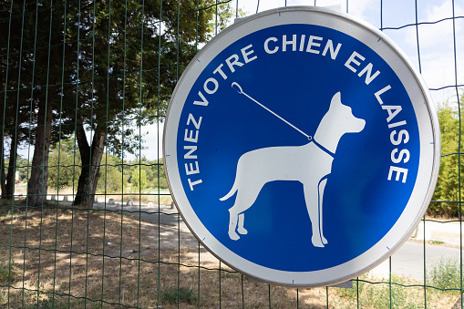 Panel signage keep your dog on a leash sign french text means tenez votre chien en laisse