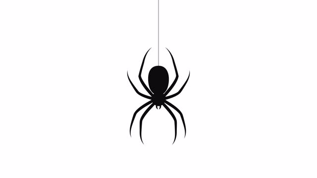 Spider descends on web. 2D animation video.
