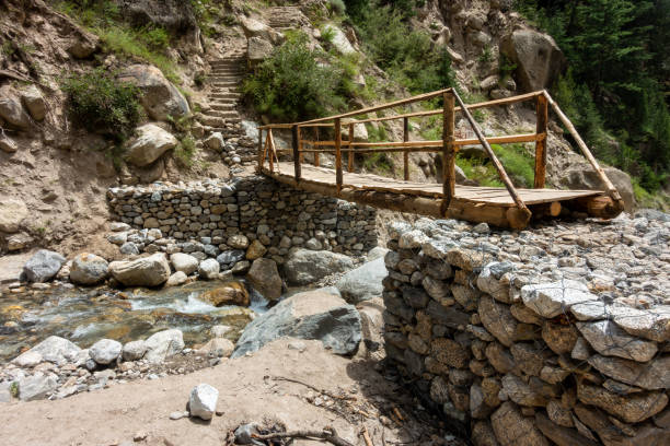 istock Temporary handmade log bridge over forest river in Himachal Pradesh. 1665340853