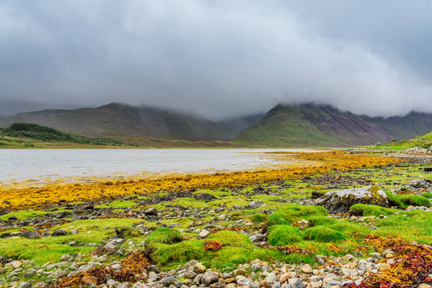 Countryside landscape in Isle of Skye
