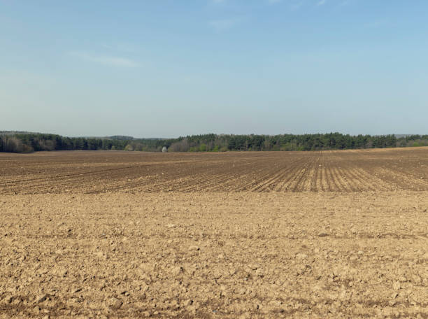 istock the plowed soil during preparation for sowing agricultural plants 1665371966