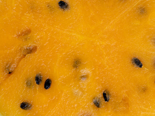 istock ripe orange watermelon with black pits watermelon close-up 1665375988