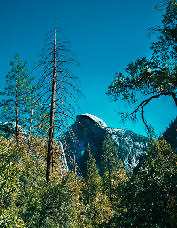 Half dome, Yosemite