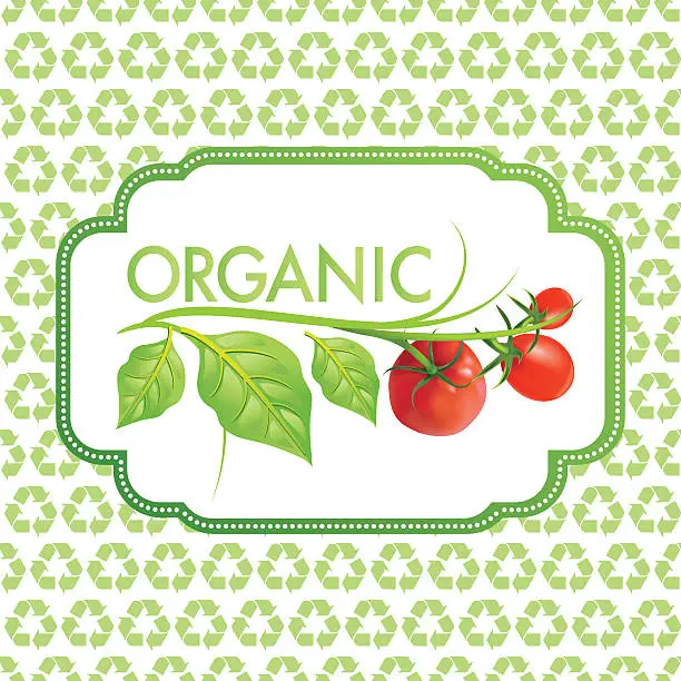 Vector illustration of Organic Food - Tomatoes on Recycle Pattern