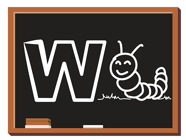 Animal alphabet W Illustration of alphabet letter W with a cute little Worm isolated on blackboard. W is for Worm spelling bee stock illustrations