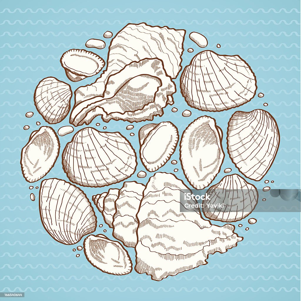 조개 껍데기 원형 디자인 요소 - 로열티 프리 0명 벡터 아트