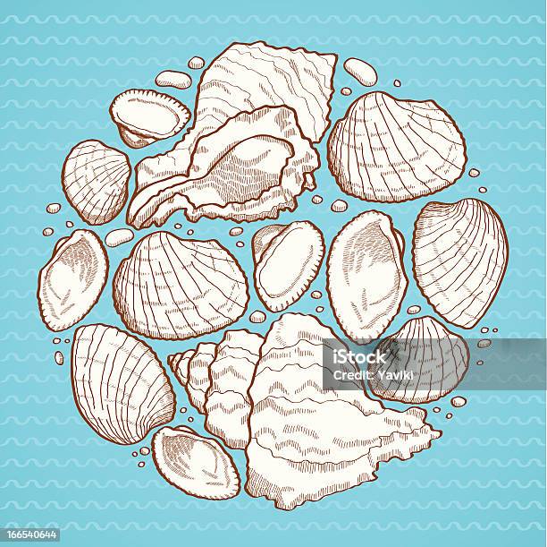 조개 껍데기 원형 디자인 요소 0명에 대한 스톡 벡터 아트 및 기타 이미지 - 0명, 개체 그룹, 계절