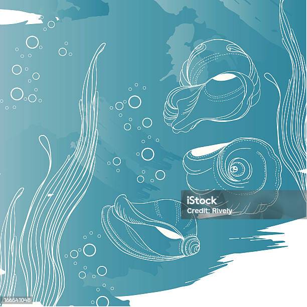 手描きセットで貝殻と Algas - イラストレーションのベクターアート素材や画像を多数ご用意 - イラストレーション, コントゥール・ドローイング法, コンピュータグラフィックス