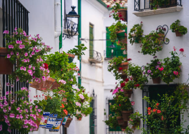 istock Priego de Cordoba, Spain 1665448377