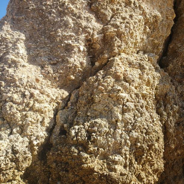 istock Cliff texture on the edge of the beach 1665455080