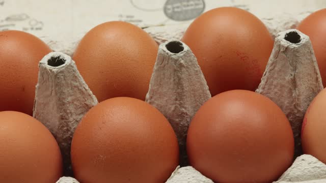 egg carton close up