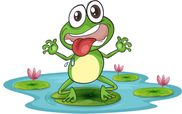 ilustrações de stock, clip art, desenhos animados e ícones de rã e água - white background close up frog amphibian
