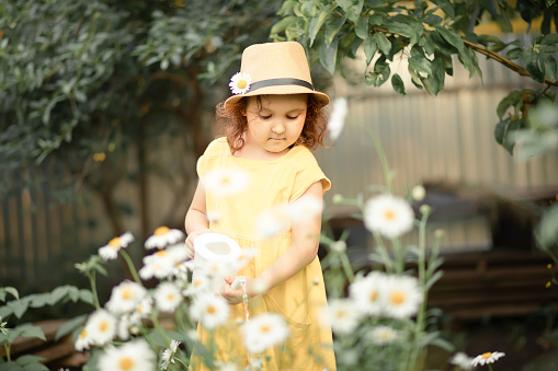 Little cute girl child with water can watering flowers in a garden backyard. Kids gardening. Outdoors children activity