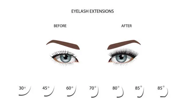 Vector illustration of Eyelash Extension Guide. Direction schemes. Tips and tricks for eyelash extension. Infographic