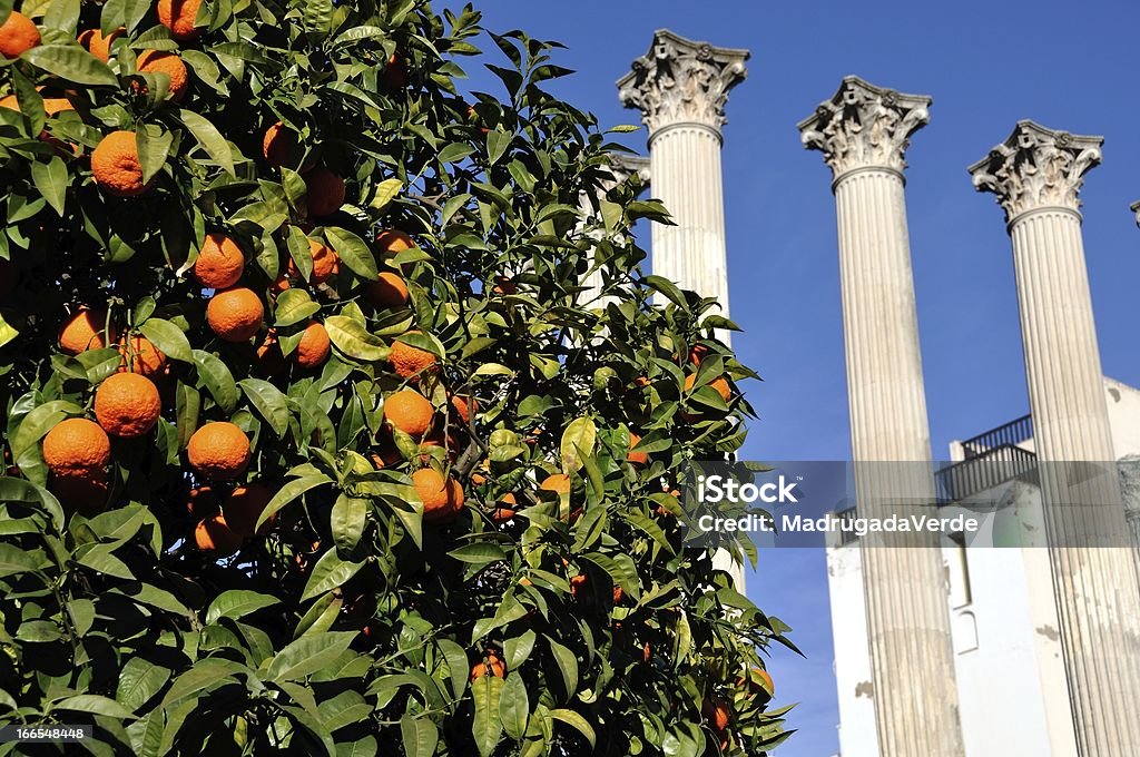 Oranger et ruines romaines - Photo de Andalousie libre de droits