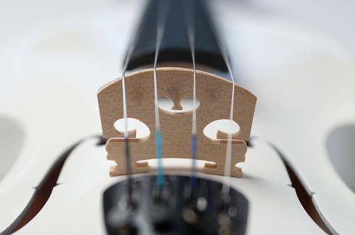 Close-up of the bridge and violin strings
