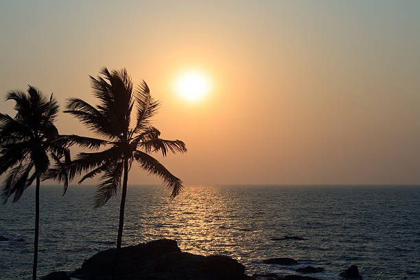 istock Palm Trees Silhouette At Sunset 166549485