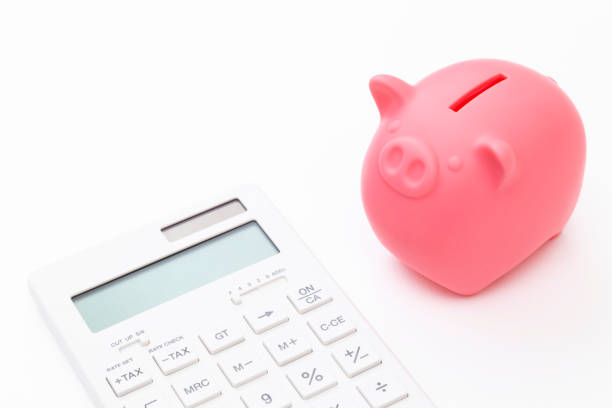 Pig piggy bank and calculator on a white background.