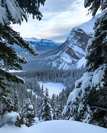 Looking through snow covered branches, the frozen Mirror Lake sits below. Lake Louise can partially be seen on the left side of the frame.