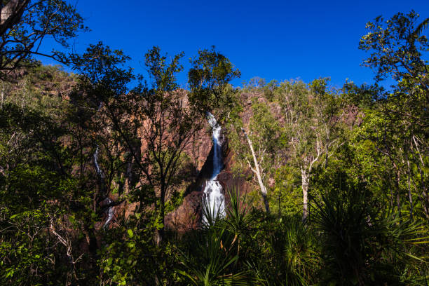 wangi falls in litchfield national park in northern territory, australia - wangi falls imagens e fotografias de stock