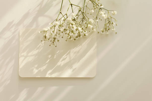 istock Empty Blank texture canvas paper card with copy space for your text message and gypsophila flower. Light and shadows minimalism style template background. Flat lay, top view. 1665558164