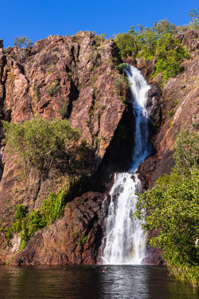 водопад ванги в национальном парке личфилд на северной территории, австралия - wangi falls стоковые фото и изображения