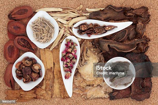 Chinese Herbal Medicine Stockfoto und mehr Bilder von Alternative Medizin - Alternative Medizin, Blume, Chinesische Angelika