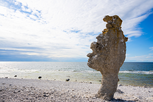 In this captivating visual, the iconic rauk known as Langhammarsgubben stands majestically on a beach in Gotland, commanding attention as a natural sculpture carved by time and elements. In the background, the seascape stretches out to meet the sky at the horizon, adding a sense of expansive grandeur to the scene. The rauk serves as an intriguing focal point, its rugged form contrasting with the fluid, ever-changing nature of the sea and sky behind it. This composition eloquently combines geological wonder with the limitless beauty of the maritime environment, capturing the essence of Gotland's unique coastal landscape.