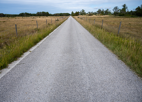 two lane paved highway surrounded by trees