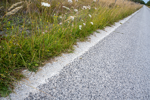 A roadside that appears to stretch infinitely unfolds through the tranquil countryside of Gotland, merging with the horizon in a seemingly endless expanse.