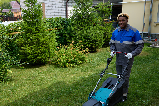 African-American man in overalls mows green grass with a lawn mower in a modern garden. Black man in overalls uses a lawn mower against a background of coniferous trees. Professional lawn care service