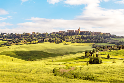Tuscany landscape. The beautiful little town Pienza in the background. Italy
