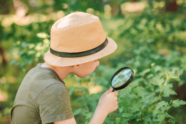 istock Caucasian Boy kid exploring nature environment with a magnifying glass loupe 1665588265