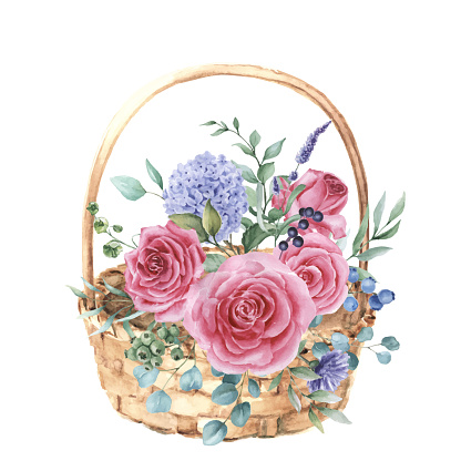 Beautiful watercolor bouquet of rose flowers in wicker basket