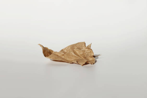 istock Crumpled craft paper piece platform podium on white light and shadow copy spase background. Minimal empty display product presentation scene. 1665616193