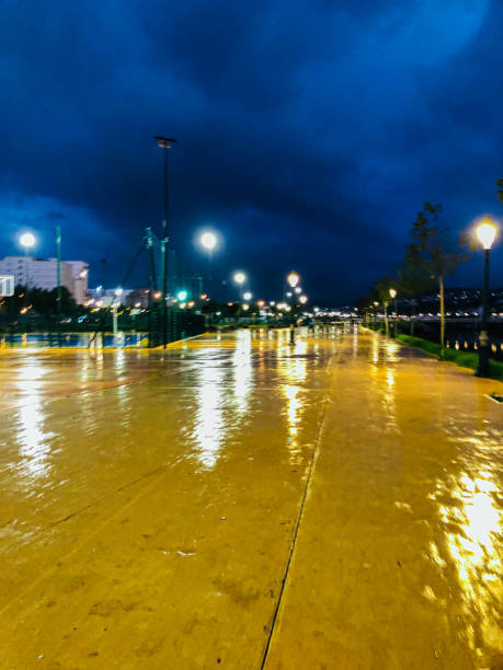 istock Wet public park in majestic scenery 1665627832