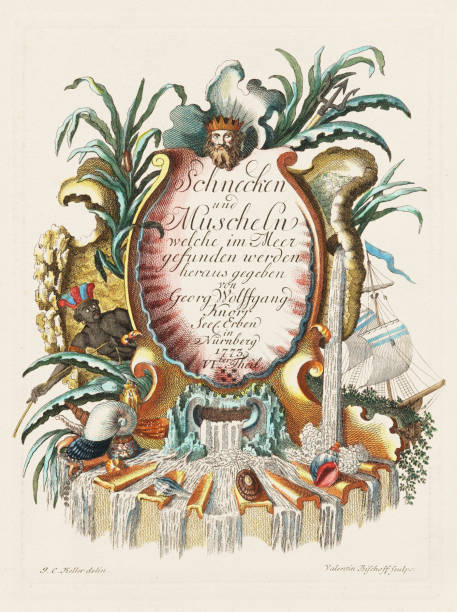 istock Antique Shell illustration. Frontispice of a German conchology book showcasing the diverse beauty of seashells. Ca. 1790 1665666455