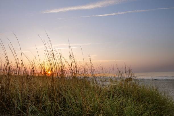 istock Beach Sunrise with Shore Birds-Hilton Head, South Carolina 1665667592