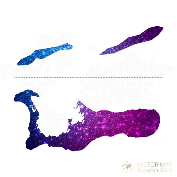 Vector illustration of Cayman Islands map in geometric wireframe blue with purple polygonal style gradient graphic on white background
