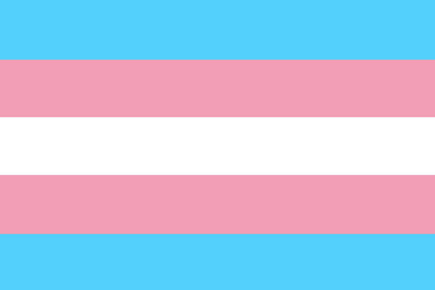 istock Transgender flag. Symbol movement lgbt. Element of sexual minorities, gays and lesbians. Vector illustration. 1665676602