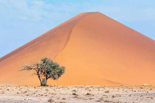Dune 45, sossusvlei, namibia, africa