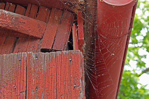 Closeup of an old barn with a perfect spider web built up by the gutter. Fading red paint, weathered building